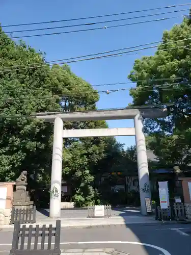 阿佐ヶ谷神明宮の鳥居