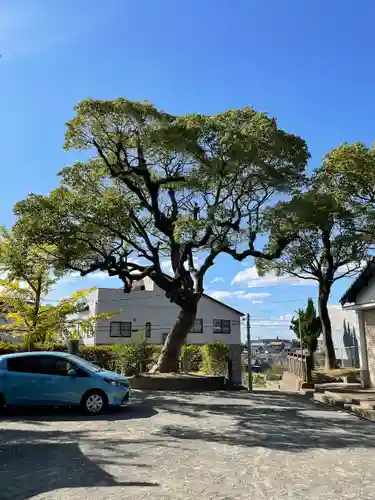 日吉神社(福岡県)