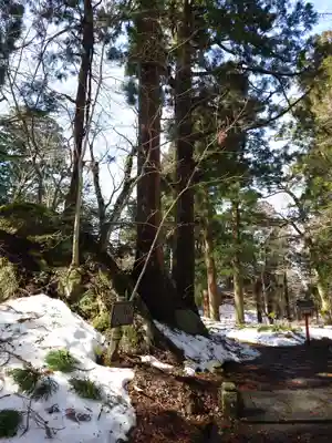 大神山神社奥宮(鳥取県)
