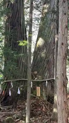 戸隠神社火之御子社(長野県)