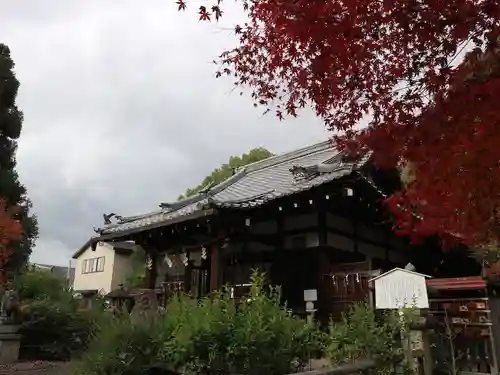 新熊野神社(京都府)