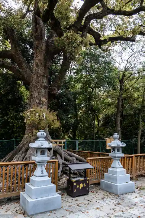 和泉國一之宮 大鳥大社の自然