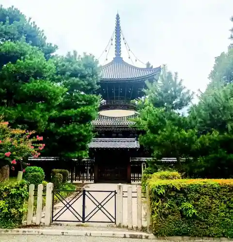 安楽寿院南 (近衞天皇)陵(京都府)