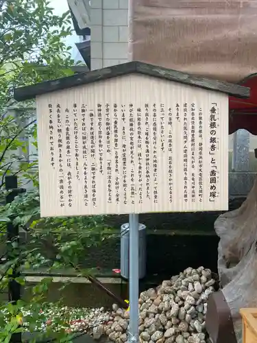 溝口神社(神奈川県)