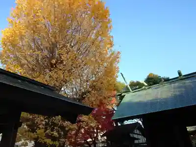 大垣大神宮(岐阜県)