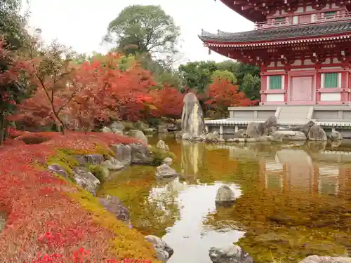 蓮華院誕生寺奥之院の庭園