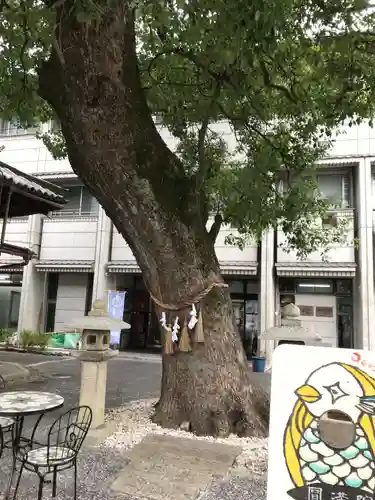 円満院門跡(滋賀県)