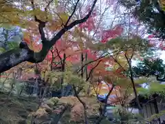 常寂光寺の自然