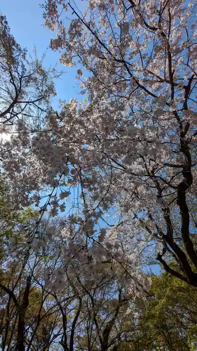 松ヶ崎大黒天 妙圓寺(妙円寺)(京都府)