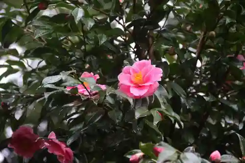 隠津島神社の庭園