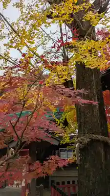 松ヶ崎大黒天 妙圓寺（妙円寺）(京都府)