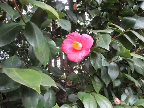 城南宮(京都府)