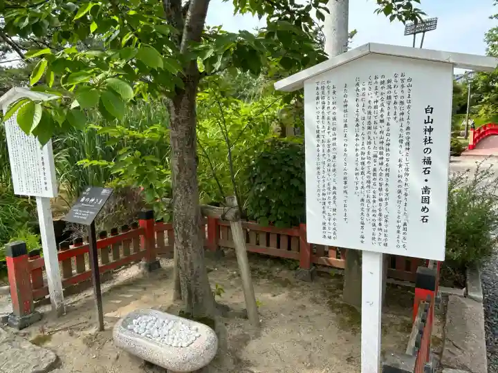 白山神社(新潟県)