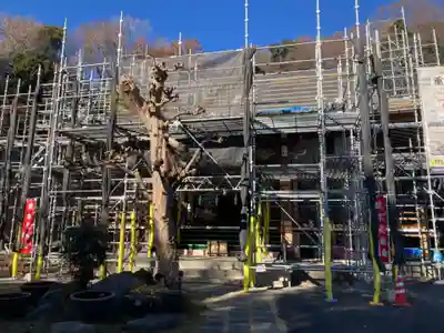 妙行寺(東京都)