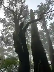 屋久島大社の周辺