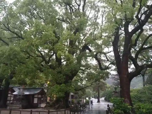 太宰府天満宮の自然