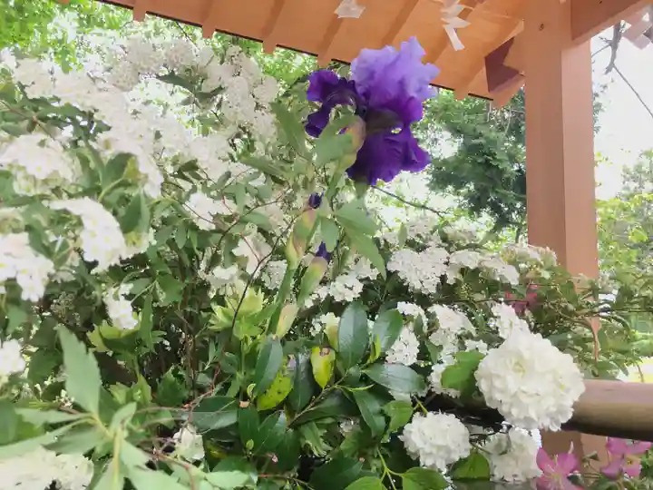 高司神社〜むすびの神の鎮まる社〜の自然