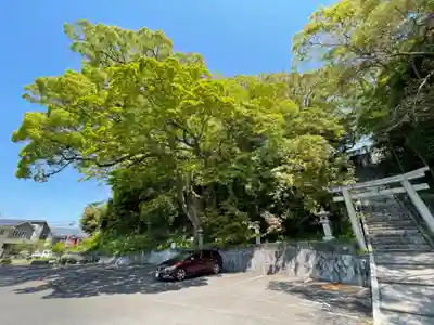 遠石八幡宮(山口県)