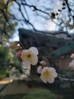 慈宏寺(東京都)