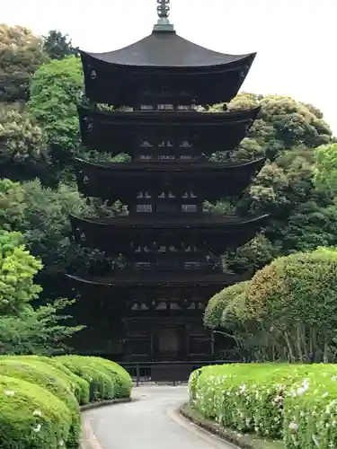 瑠璃光寺の塔