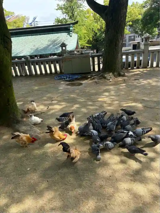 忌宮神社(山口県)