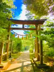 成田熊野神社の鳥居