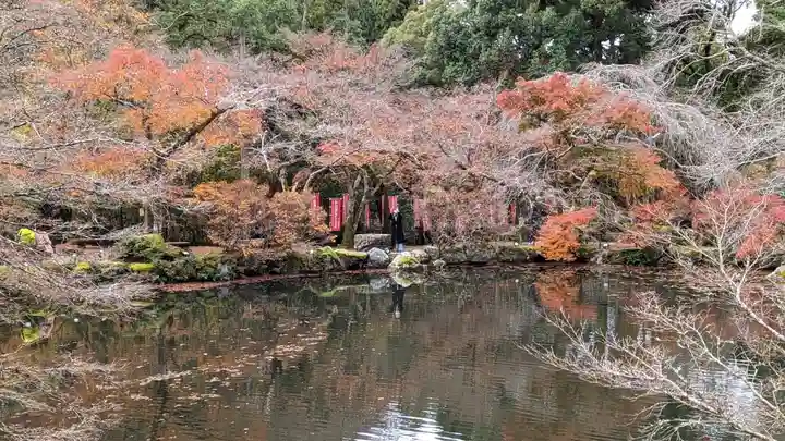 醍醐寺(京都府)