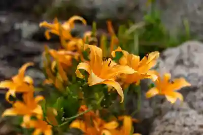 大御神社(宮崎県)