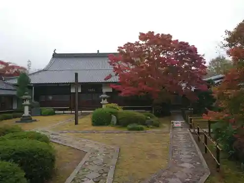 源光庵の庭園