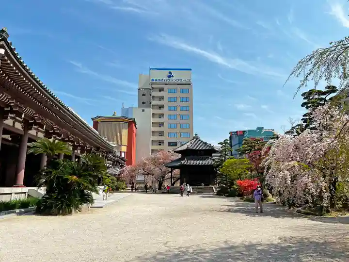 東長寺の庭園