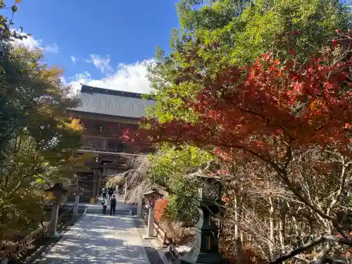 秋葉山本宮 秋葉神社 上社(静岡県)