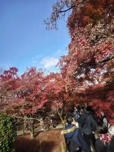 東福禅寺（東福寺）(京都府)