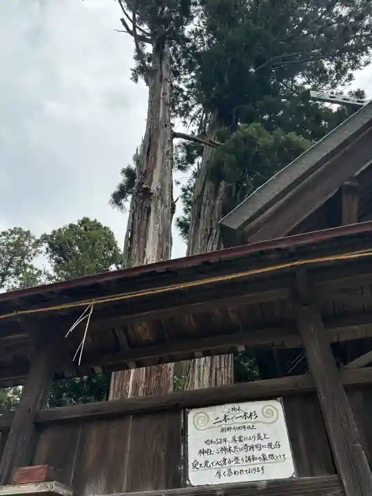 鹿嶋三嶋神社の{uncategorized: "未分類", other: "その他", undefined: "問題あり", building: "その他建物", grave: "お墓", sacred_gate: "鳥居", guardian: "狛犬", statue: "像", buddha: "仏像", history: "歴史", nature: "自然", garden: "庭園", animal: "動物", pagoda: "塔", temizu: "手水舎", mountain_gate: "山門・神門", sanctuary: "本殿・本堂", subordinate: "末社・摂社", art: "芸術", scenery: "景色", jizo: "地蔵", ema: "絵馬", goshuin: "御朱印", omikuji: "おみくじ", items: "授与品その他", amulet: "お守り", goshuincho: "御朱印帳", eats: "食事", festival: "お祭り", votive_dance: "神楽", shichigosan: "七五三参", wedding: "結婚式", experience: "体験その他", initially: "初詣", around: "周辺", anti_infection: "感染症対策"}