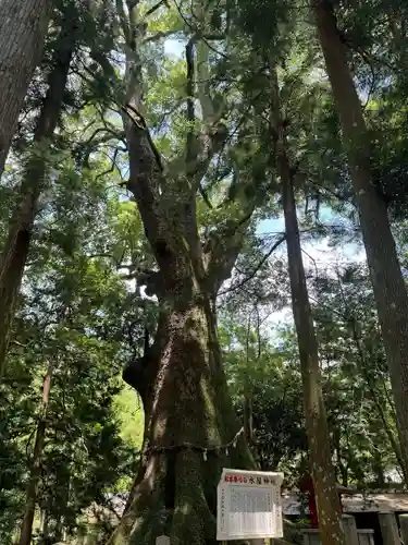 水屋神社(三重県)