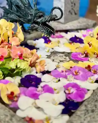 札幌諏訪神社の手水舎