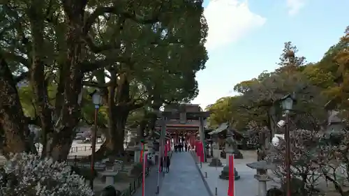 太宰府天満宮の自然