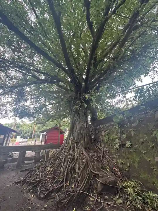 腹五社神社(鹿児島県)