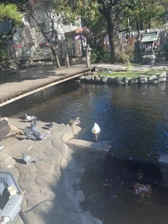 平塚八幡宮(神奈川県)