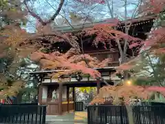 東漸寺(千葉県)