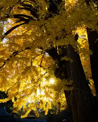 鑁阿寺(栃木県)