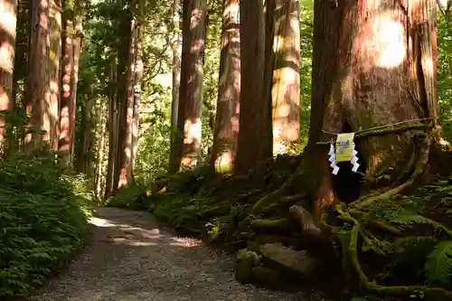 戸隠神社奥社(長野県)
