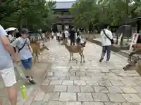 東大寺(奈良県)
