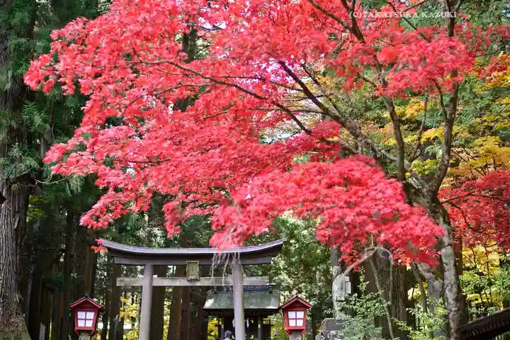 北口本宮冨士浅間神社(山梨県)