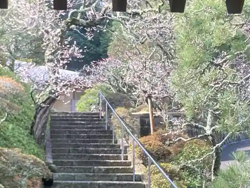 禅居院(神奈川県)