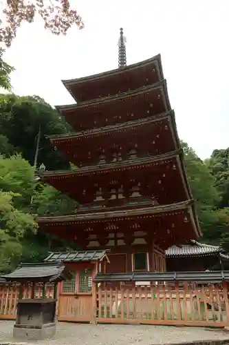 長谷寺(奈良県)