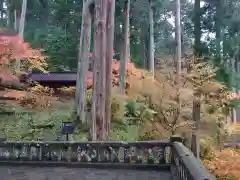 輪王寺の自然