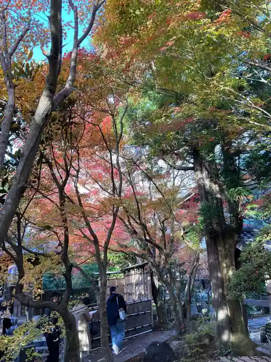 安楽寺(京都府)