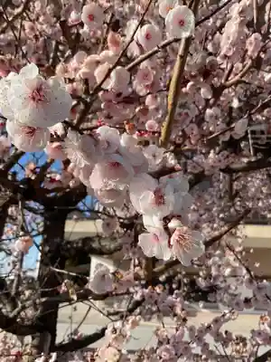正眼寺(愛知県)