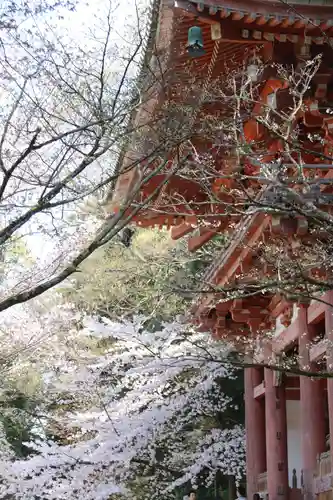 醍醐寺の本殿・本堂