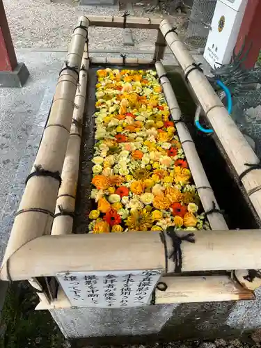 津島神社の手水舎